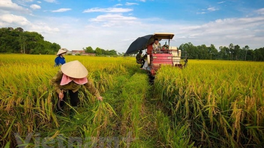 Book on green economy for sustainable development launched