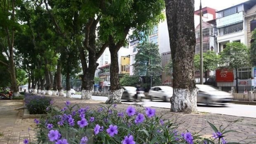 Seminar suggests green ideas for Hanoi