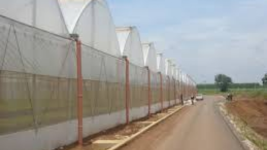 Thailand to join other countries in greenhouse gas reduction