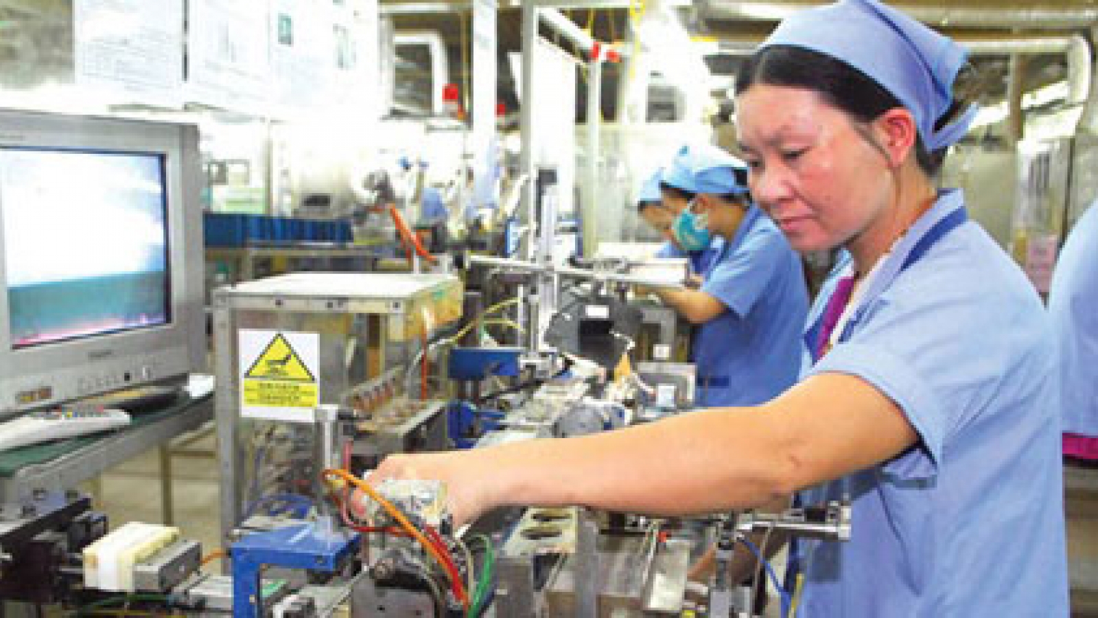 Vietnamese expatriates support national growth