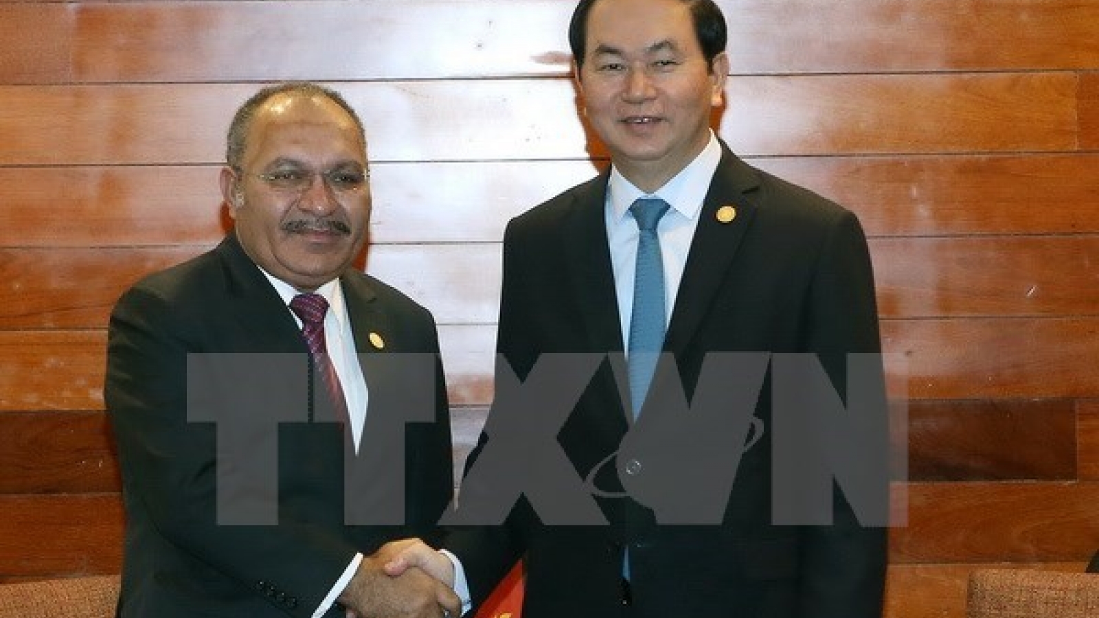 APEC 2017: Vietnam, Papua New Guinea enhance cooperation