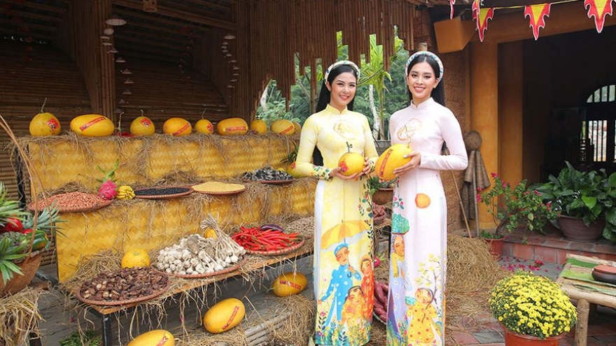 Beauty queens dazzle in Tet programme