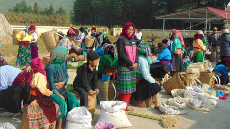 Ha Giang prepares for Buckwheat Flower Festival