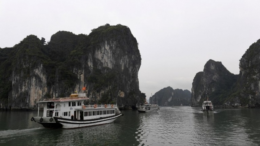 Vietnam named in top 15 most Instagrammed global cruise destinations