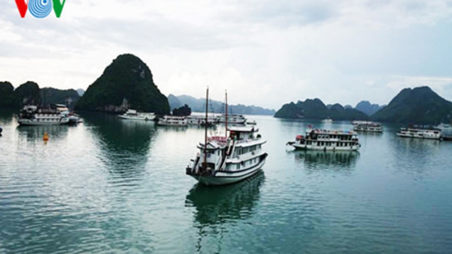 Ha Long City now has free Muni Wi-Fi