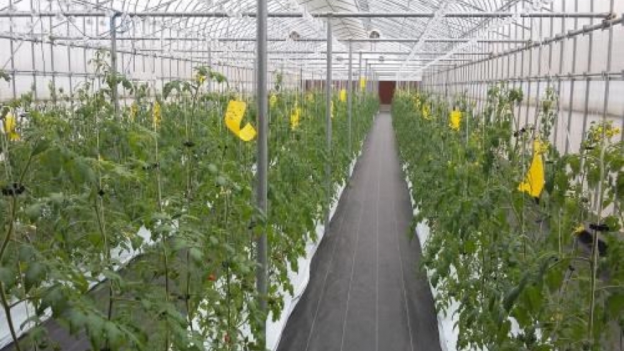 
        Ha Nam calls for Japanese investments in modern agriculture
                              