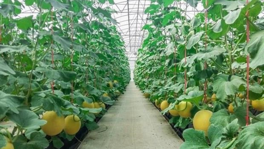 Ha Nam holds investment promotion event in RoK