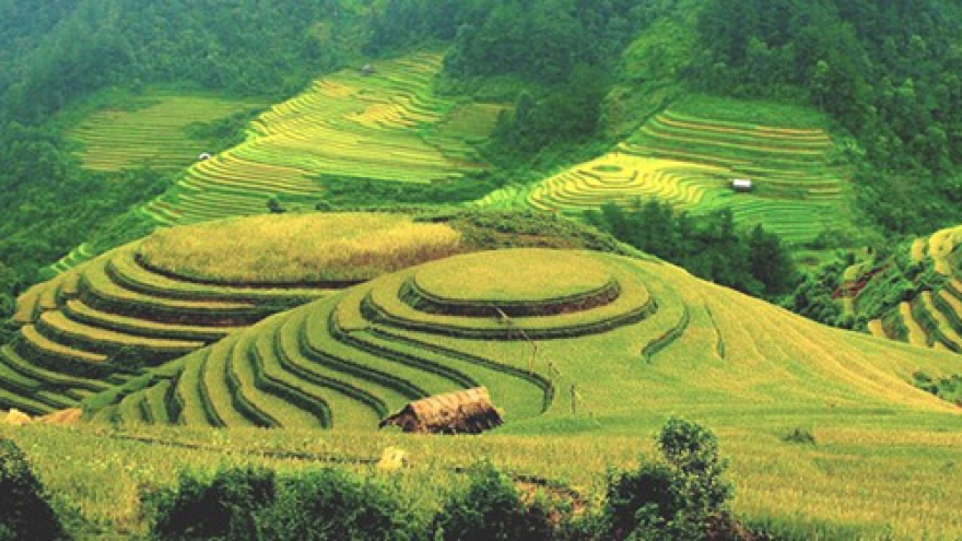 Chinese firms seek investment in Ha Giang province