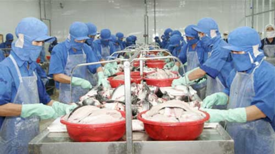 Tilapia fish exports seen rising by 2020