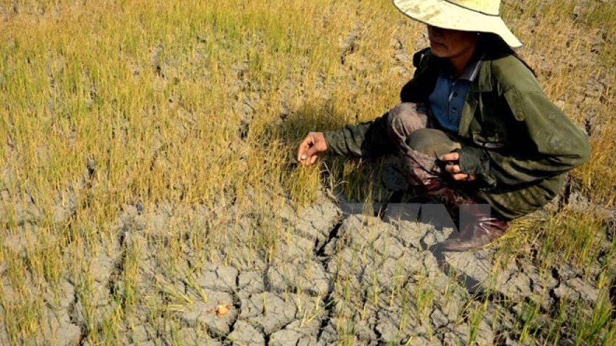 UN Women, RoK partner to help Vietnam’s drought-affected women