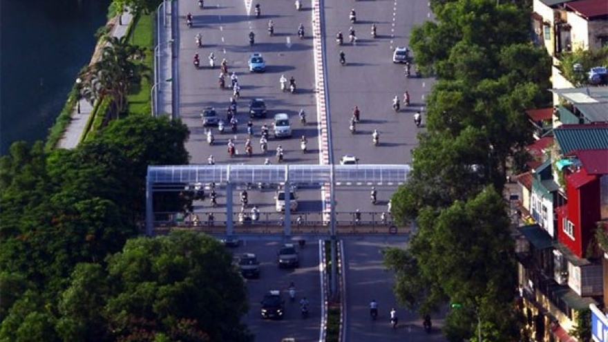 Hanoi may replace 4,000 African mahogany trees