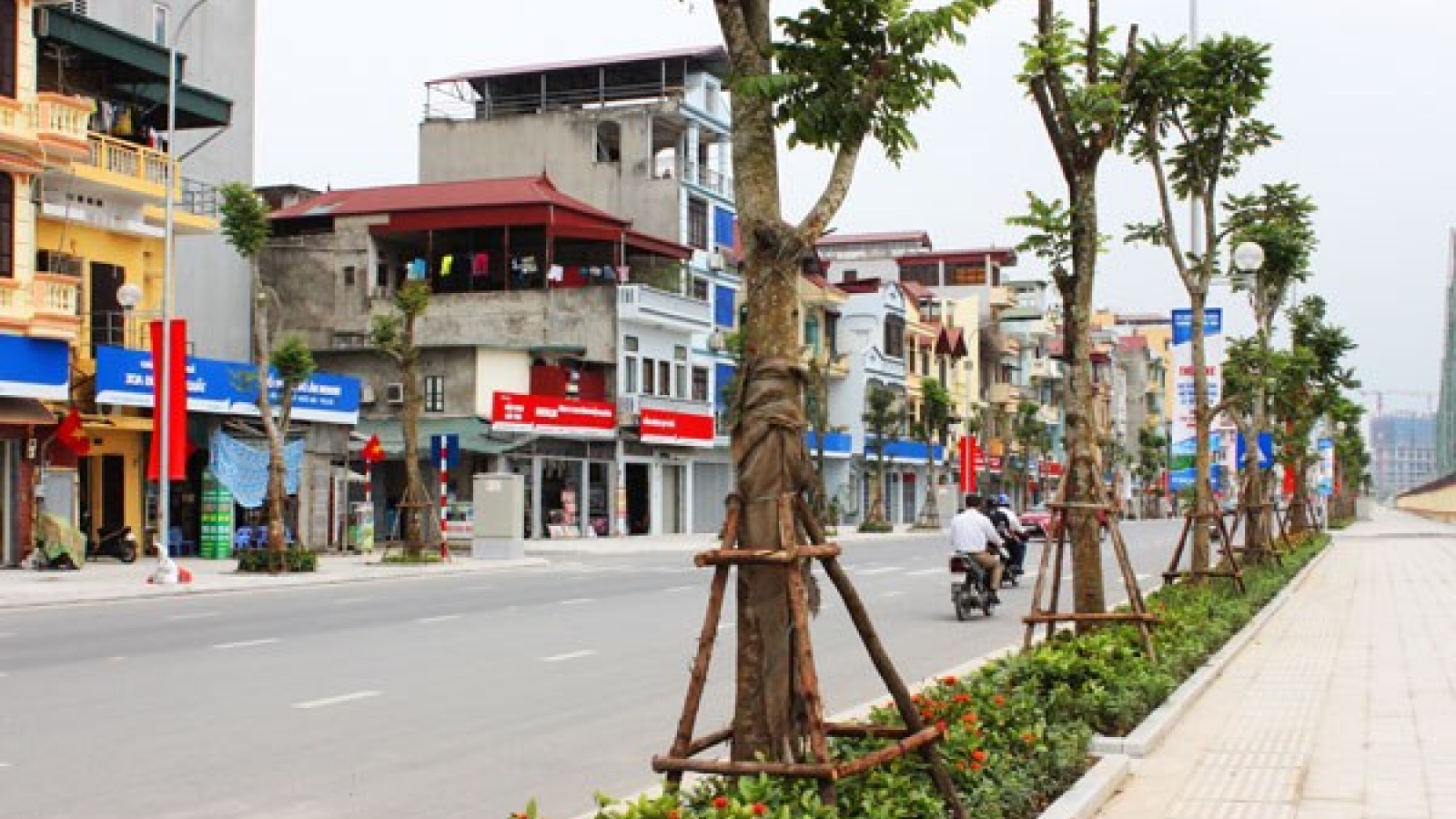 Hanoi to plant 45,000 trees along Thang Long Avenue