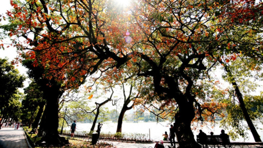 
        Hanoi breaks into top global destinations on TripAdvisor list
                              