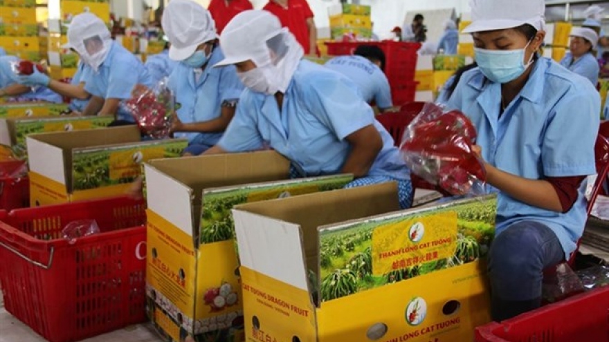 Post harvest losses hinder Vietnam’s exports