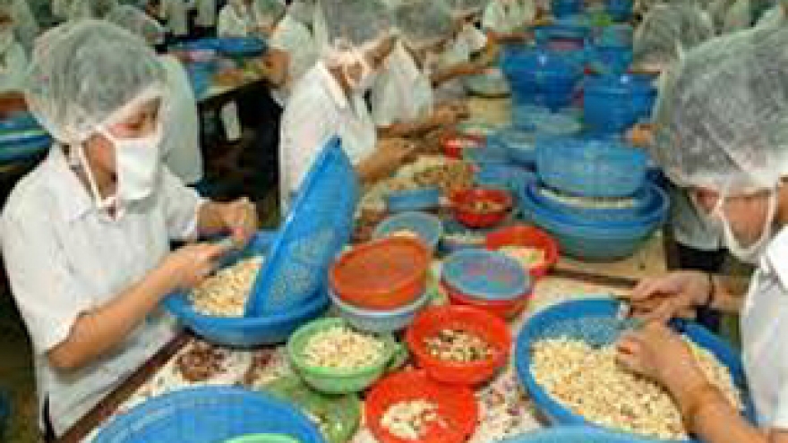 Vinacas sets high export growth for cashew nuts