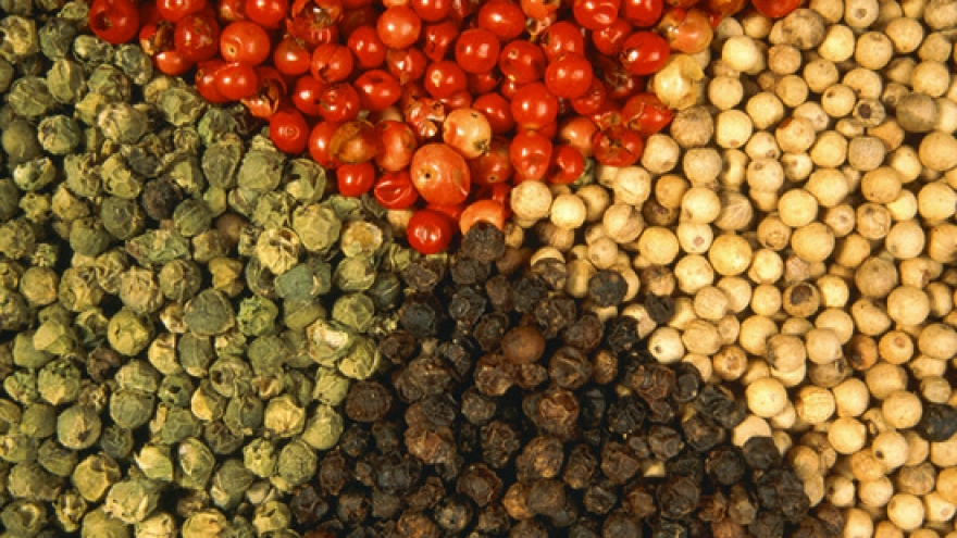 Seminar boosts Vietnam's trade links with Czech Republic