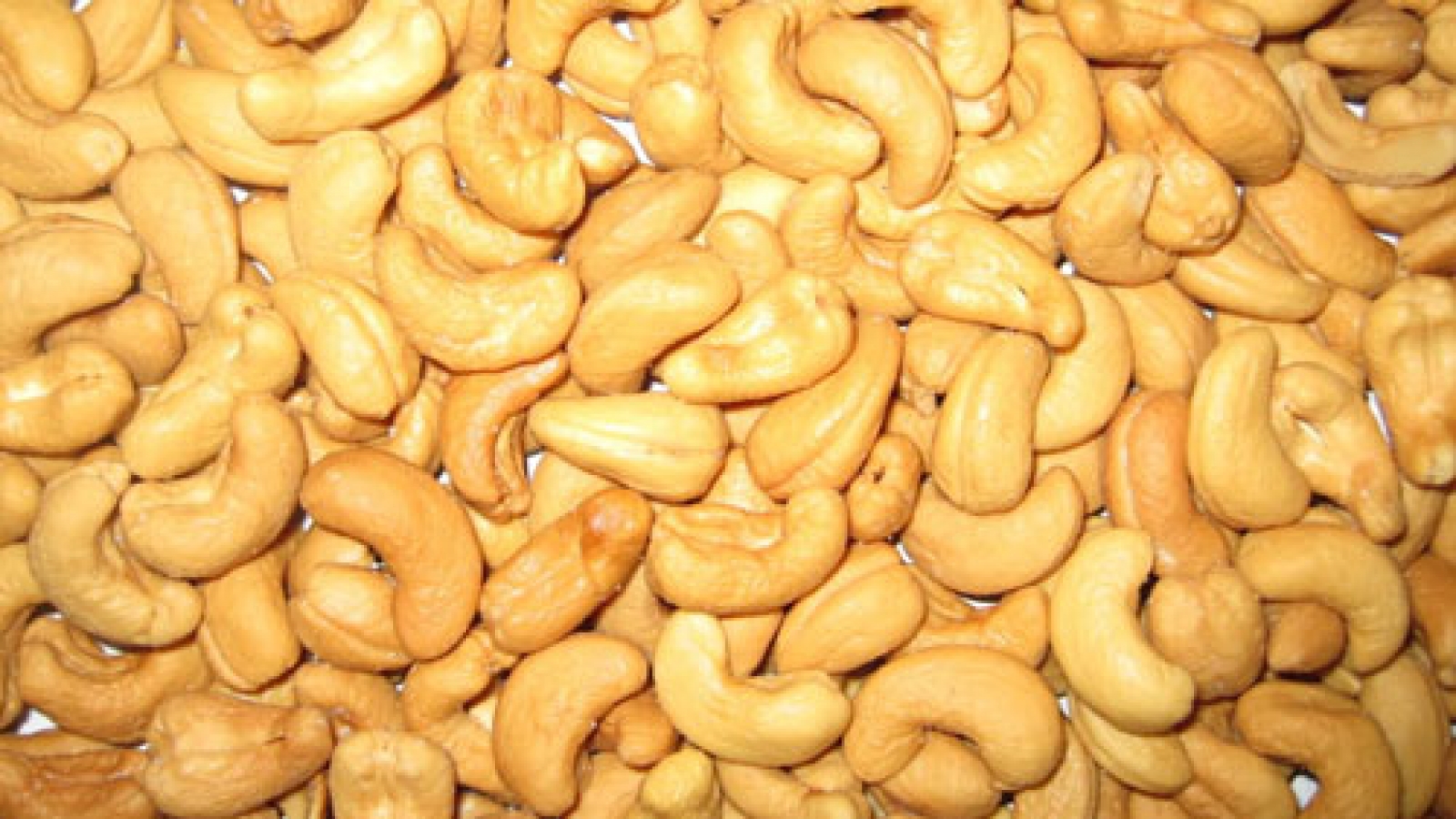 Cashew nuts, tea a hit at Hong Kong fair