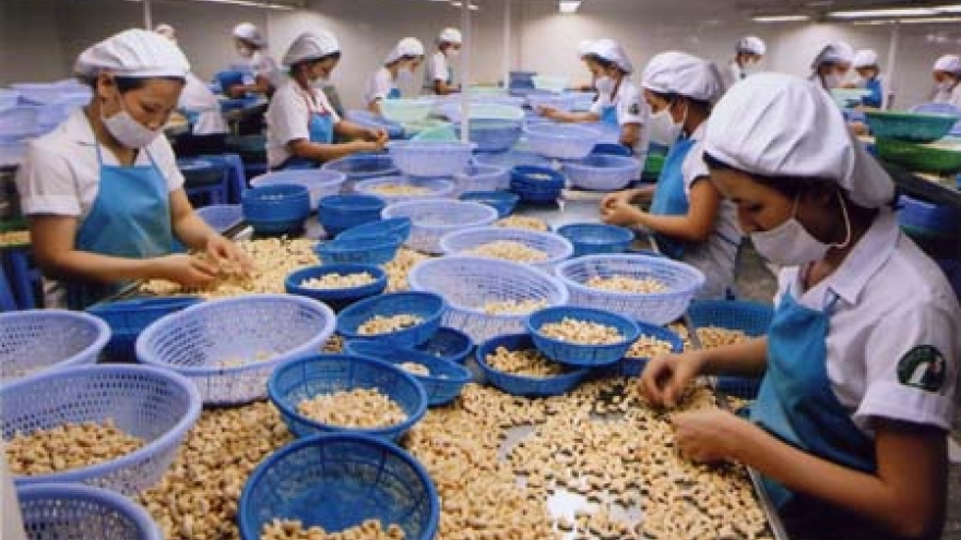 Imports of raw cashew nuts jump high