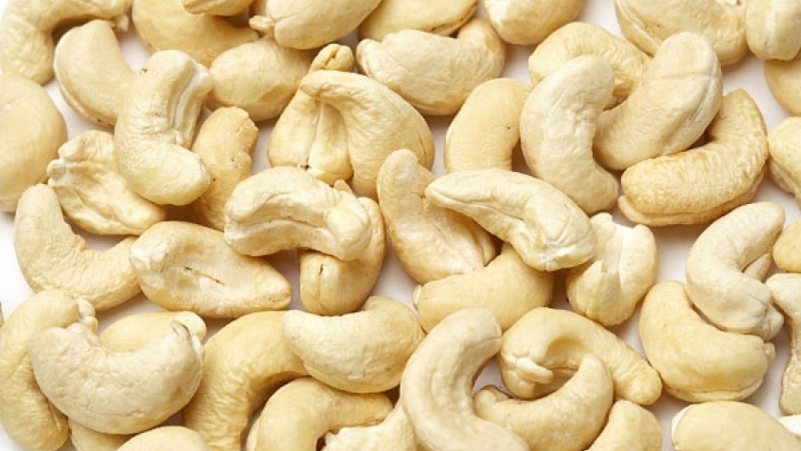 Cashew nut exports rise high in value