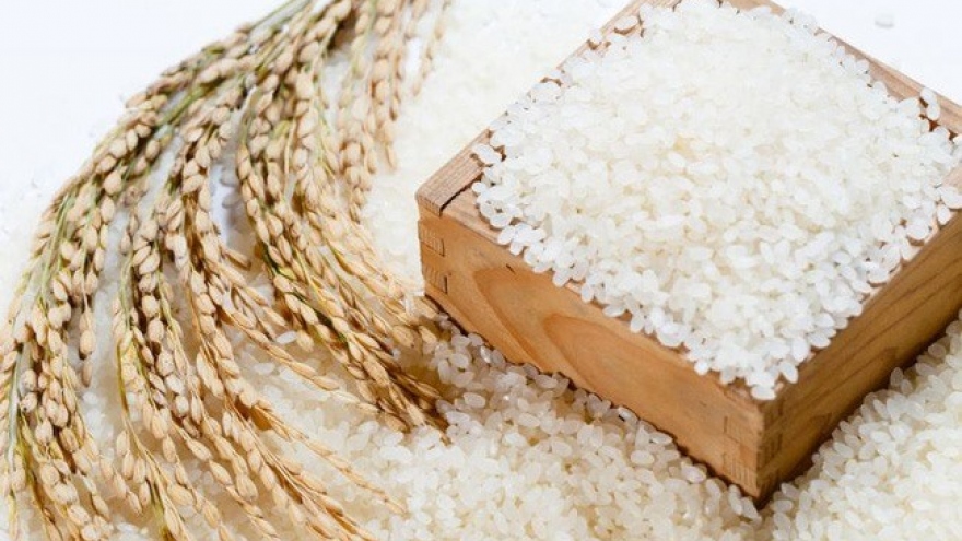 Agriculture ministry issues regulations on ’VIETNAM RICE’ national brand