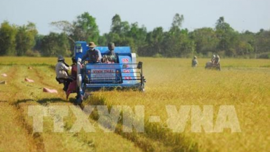 Hau Giang introduces strengths, potential to Japanese investors