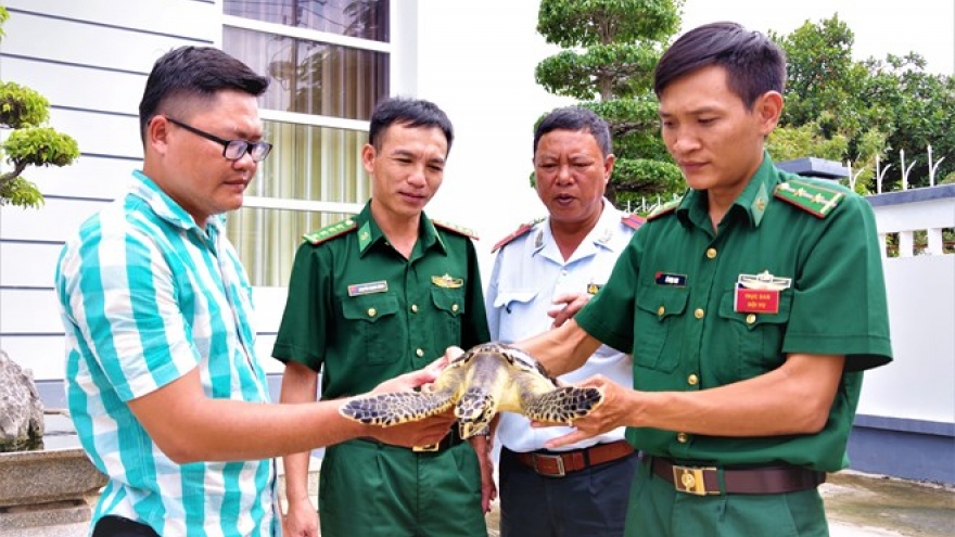 
        Ba Ria-Vung Tau: Rare sea turtle released into nature
                              
