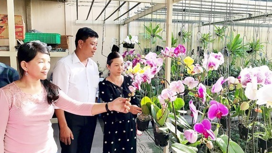 HCM City seeks to expand orchid market