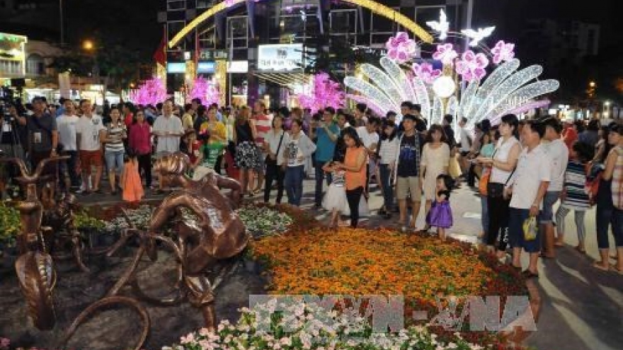 HCM City celebrates Tet with special art performances