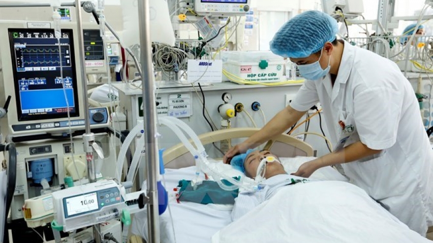 Vietnam cooperates with WHO to address health priority issues