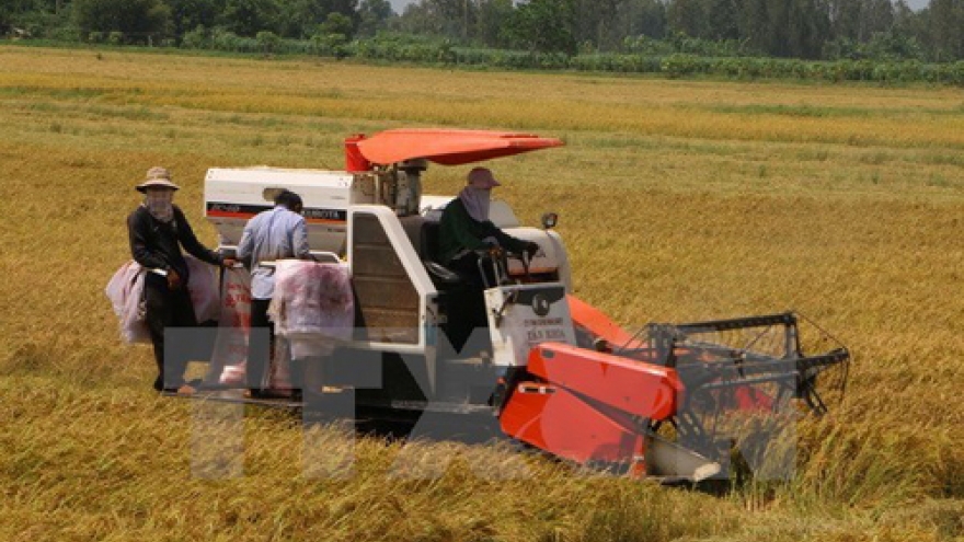 DPRK delegation seeks investment opportunities in Hau Giang