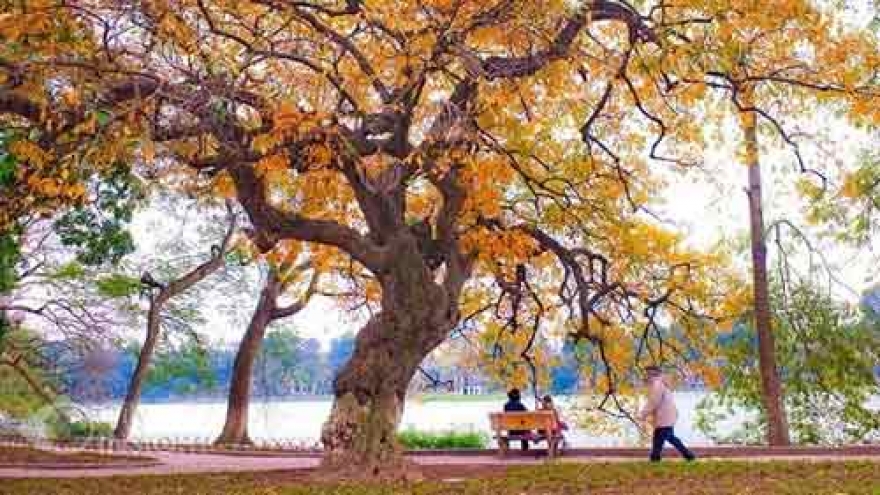 Autumn offers great trips to travellers