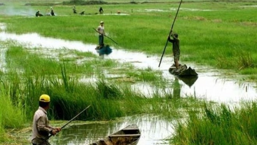 Mekong provinces work to build water pumping stations