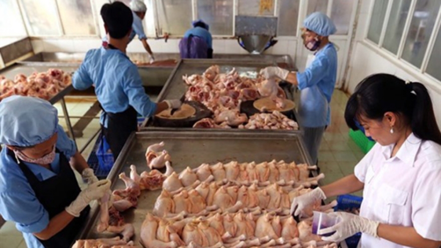 Hanoi: Officials call for tighter animal quarantine