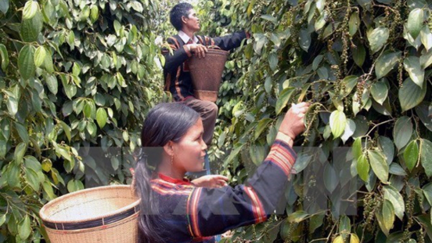 Farmers' Union promotes support for farmers
