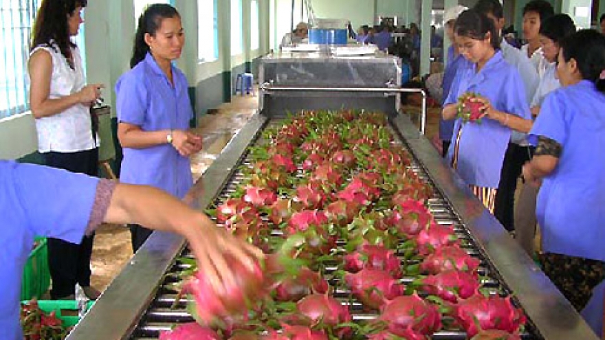 UAE a top export market for Vietnam agriculture 