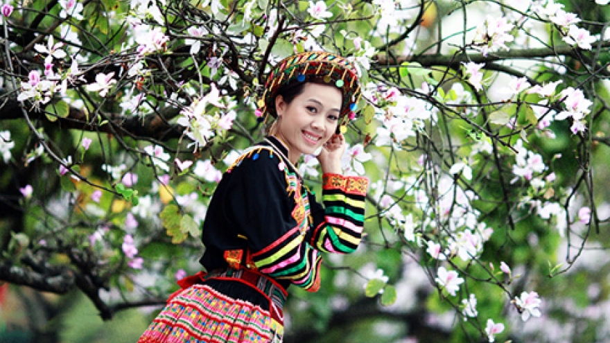 Lao Cai readies for its colourful flower festival