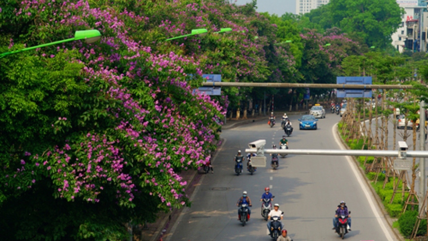 Hanoi to remove another 130 trees to make way for metro line