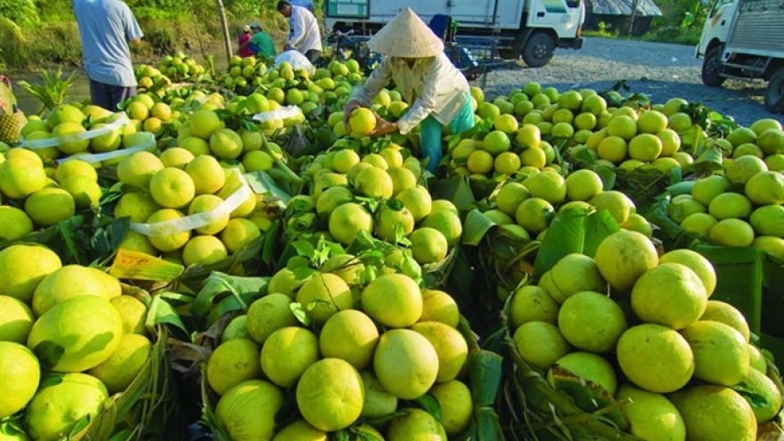 Vietnam vegetables export value rise