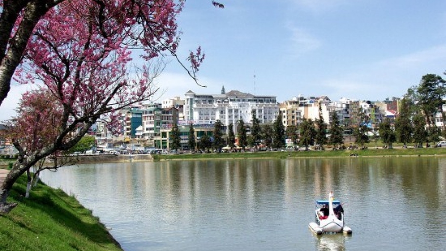 
        Da Lat to host cherry blossom festival
                              