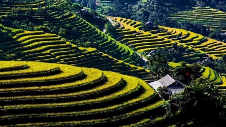 Vietnam’s tourism sector works to attract more foreign tourists