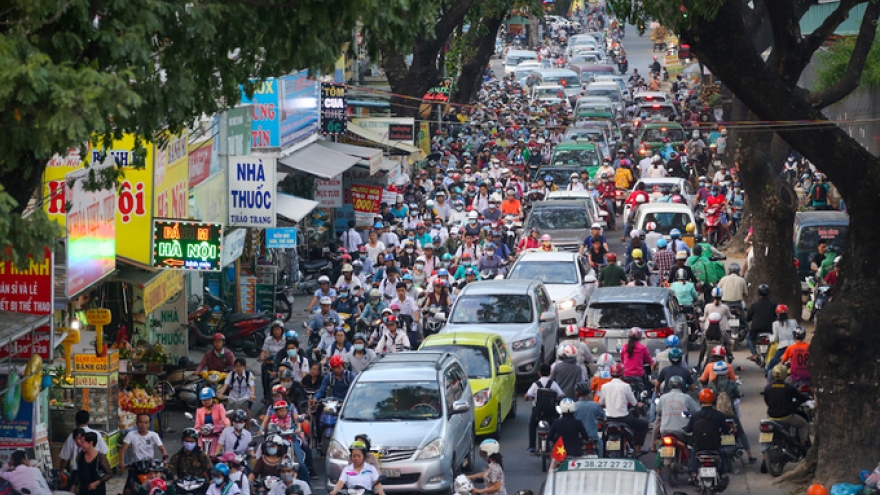 Another 100 trees will fall in Saigon as city wants to clear traffic near airport