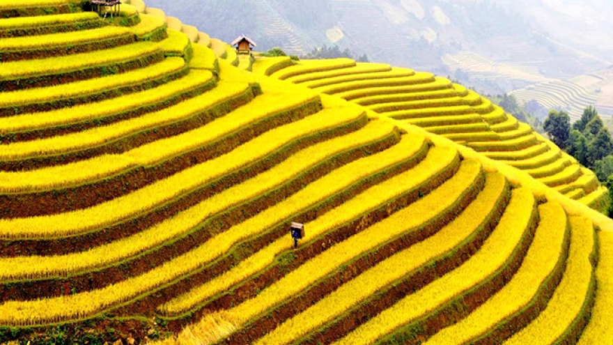 Hoang Su Phi terraced fields, masterpieces of minority groups