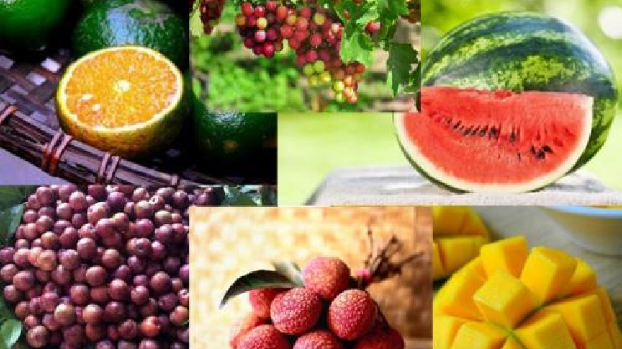 Vietnam’s fruit exporters prosper
