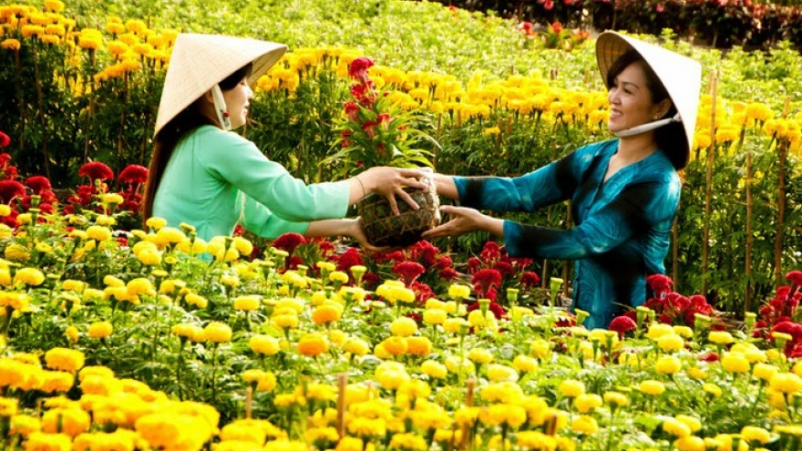 Famous sites in Dong Thap province