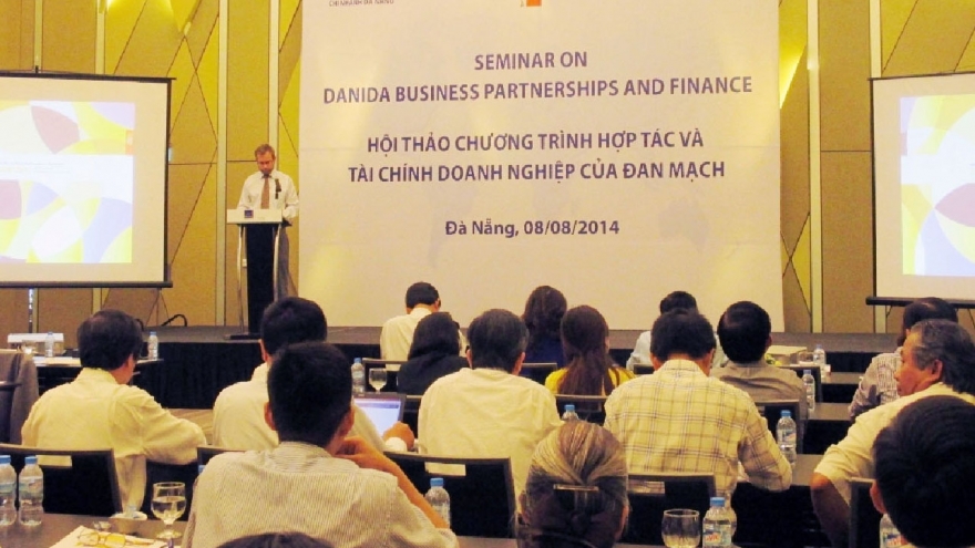 Demark helps develop private businesses 