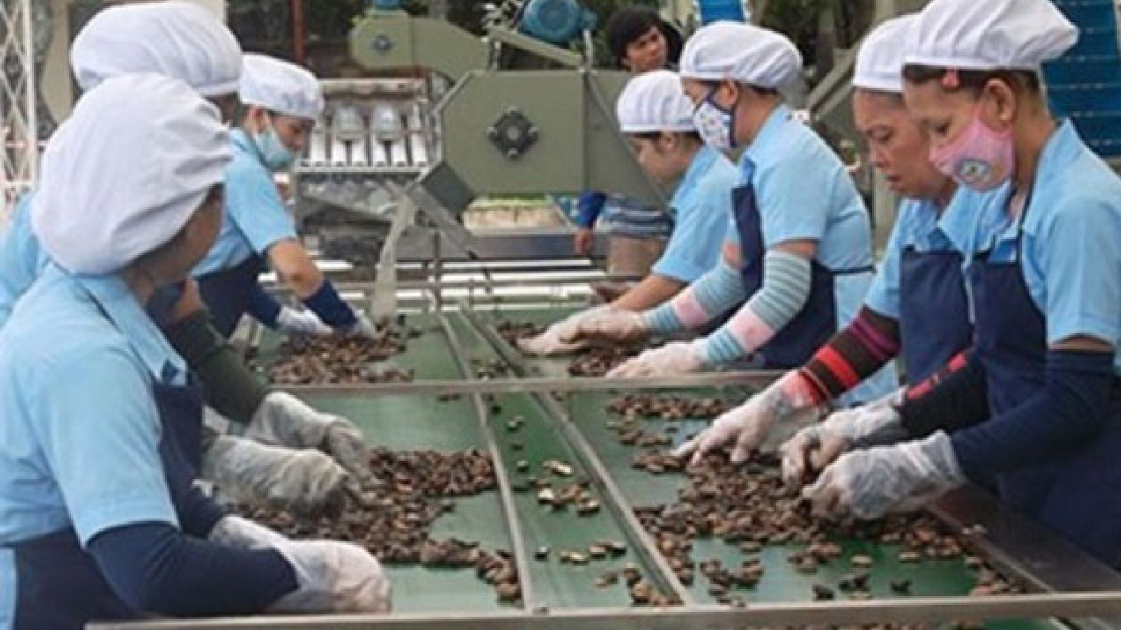 Expert:  Vietnam ‘needs to better prepare’ for TPP