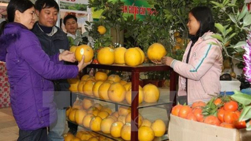 Spring Fair to offer consumer goods for Tet
