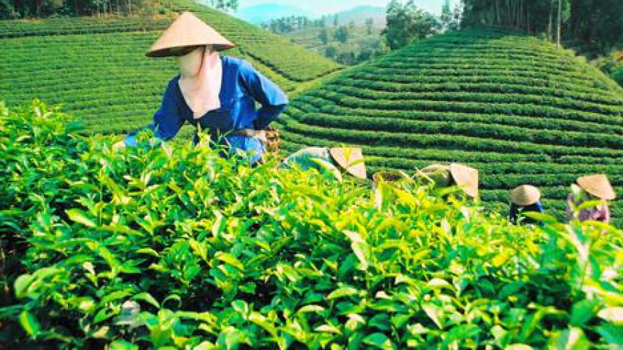 Future of agriculture lies in high technology