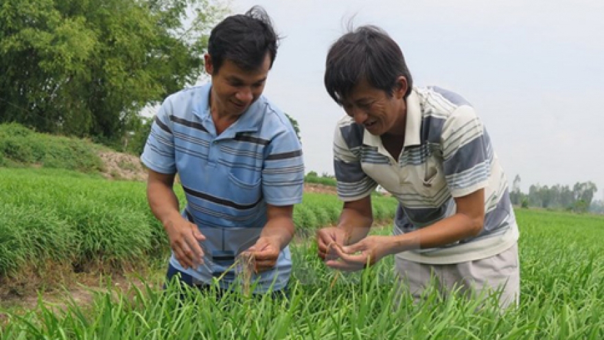 ICA urged to support Vietnam’s cooperative development