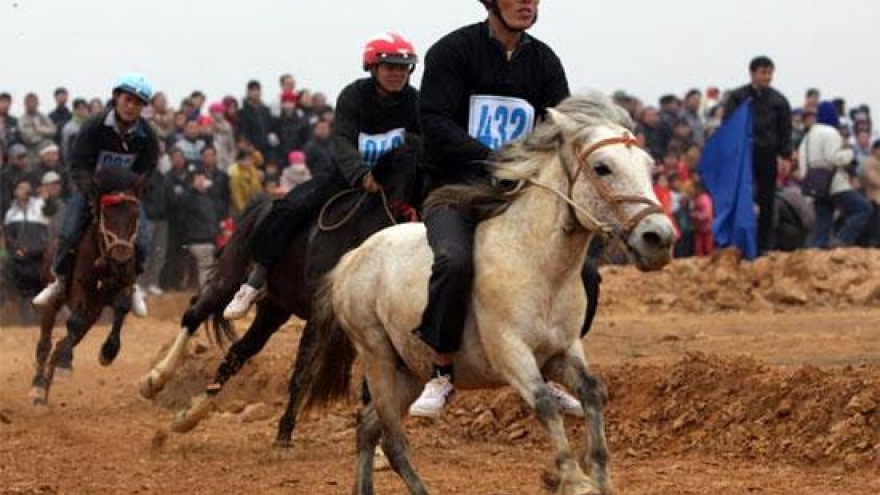 Vinh Phuc horse track one step closer to becoming reality
